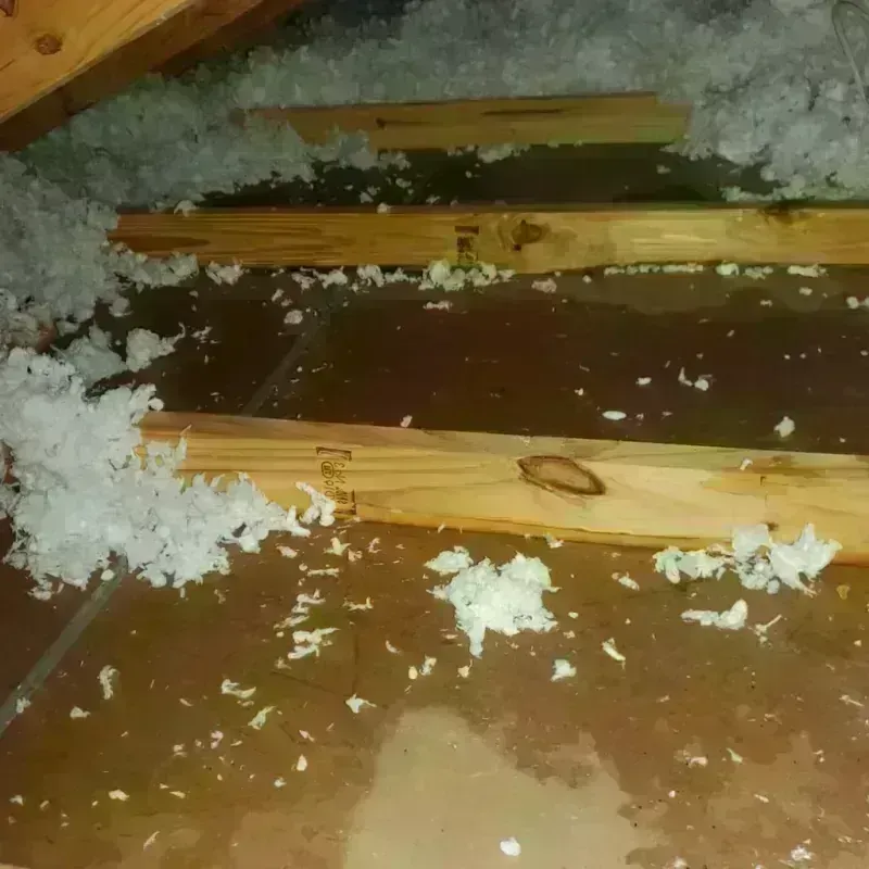 Attic Water Damage in Many Farms, AZ