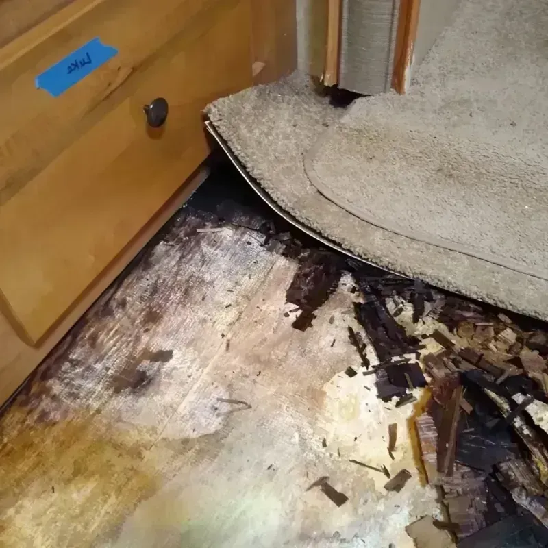 Wood Floor Water Damage in Many Farms, AZ